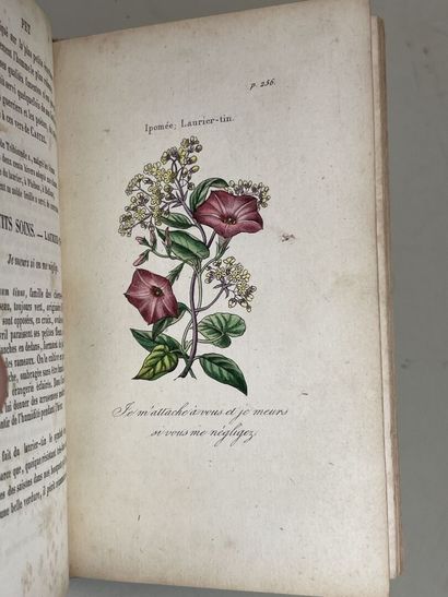 LENEVEUX, Louise. - Les Fleurs emblématiques...