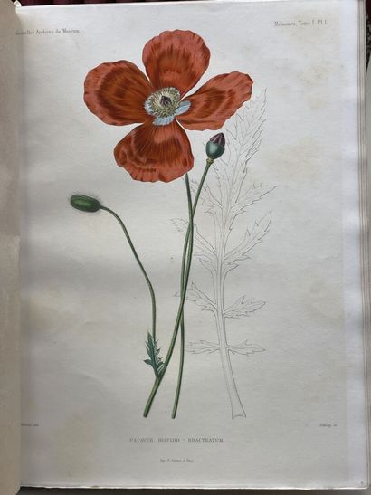 [MUSÉUM NATIONAL D'HISTOIRE NATURELLE]. -...