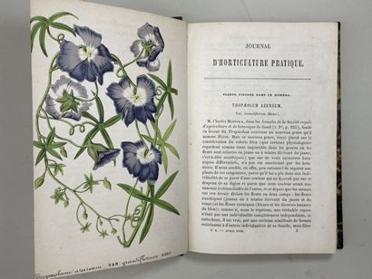 Journal d'horticulture pratique de la Belgique...