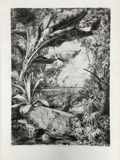 Society of Aqua-Fortists 
Modern etchings...