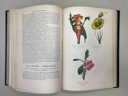 LE MAOUT, Emmanuel. - Botanique. Organographie...