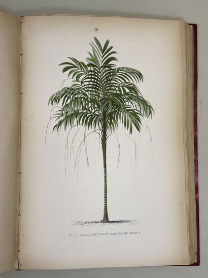 KERCHOVE DE DENTERGHEM, Oswald de. - Les...
