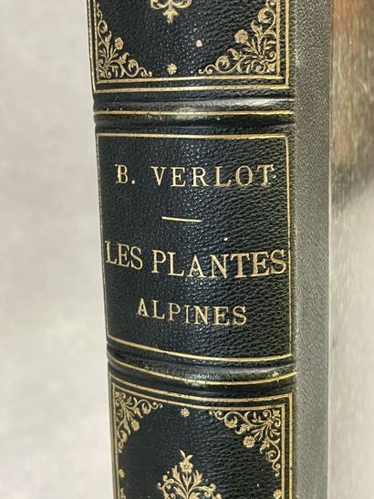VERLOT, Bernard. - Les Plantes Alpines. Choix...