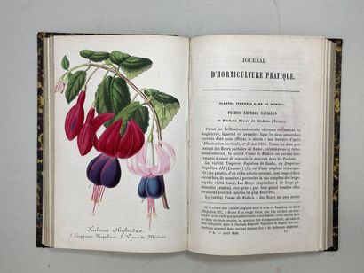 Journal d'horticulture pratique de la Belgique...
