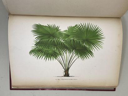 KERCHOVE DE DENTERGHEM, Oswald de. - Les...