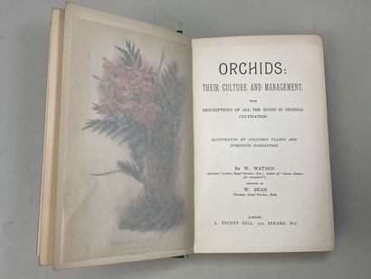WATSON, W & BEAN, W. - Orchids : their culture...