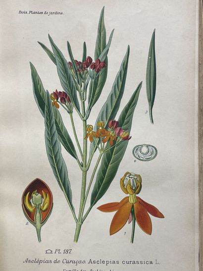 D. BOIS
Atlas des plantes de jardins et d'appartements...