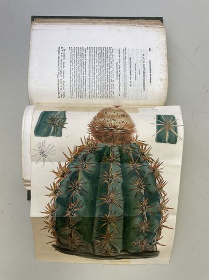 LEMAIRE, Charles. - L'Horticulteur Universel,...