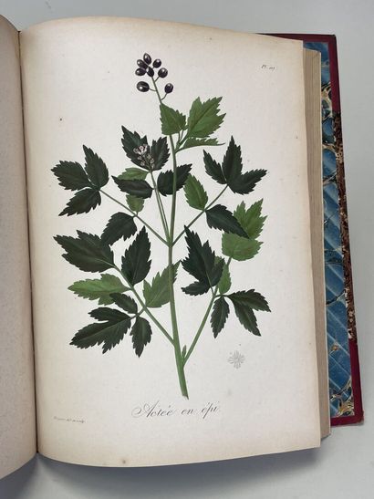 ROQUES, Joseph. - Phytographie médicale,...