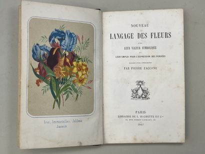 ZACCONE, Pierre. - Nouveau Langage des fleurs...