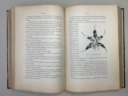 LINDEN, Lucien. - Les Orchidées exotiques...