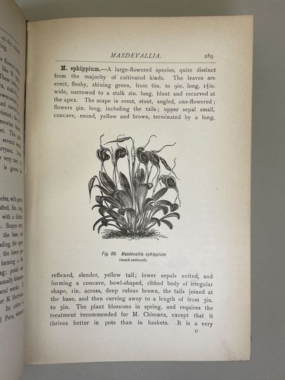 WATSON, W & BEAN, W. - Orchids : their culture...