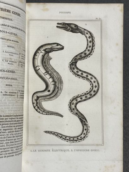 LACEPEDE, 
OEuvres du Comte de Lacépède comprenant...