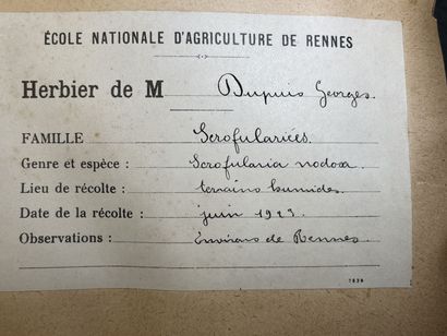 Important herbier de 1923. 
13 x 47 x 30...