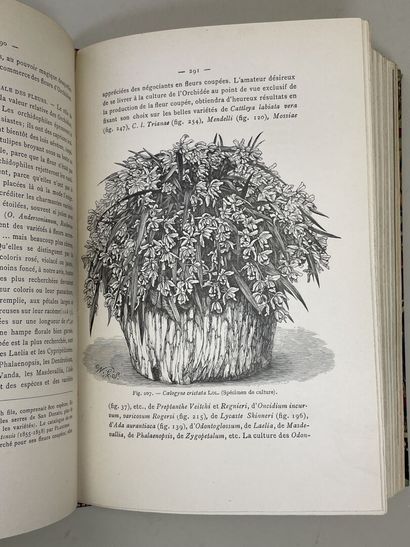 KERCHOVE DE DENTERGHEM, Oswald de. - Le Livre...