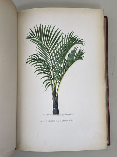 KERCHOVE DE DENTERGHEM, Oswald de. - Les...