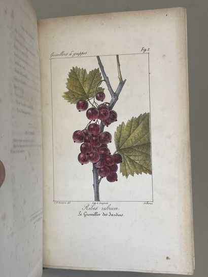 THORY, (Claude-Antoine). - Monographie ou...