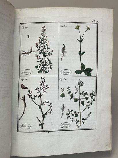 ROQUES, Joseph. - Plantes usuelles, indigènes...