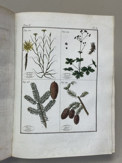 ROQUES, Joseph. - Plantes usuelles, indigènes...