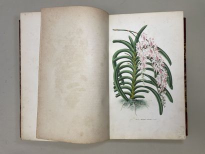 PUYDT, (Émile de). - Les Orchidées. Histoire...