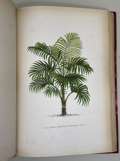 KERCHOVE DE DENTERGHEM, Oswald de. - Les...