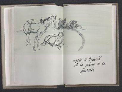 JORDAN illustrator, Text by an unknown author...