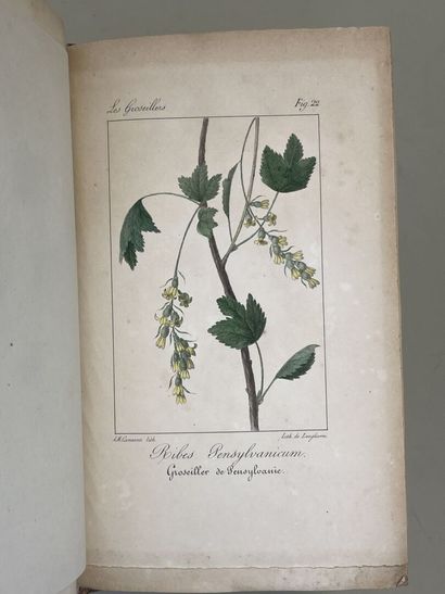 THORY, (Claude-Antoine). - Monographie ou...