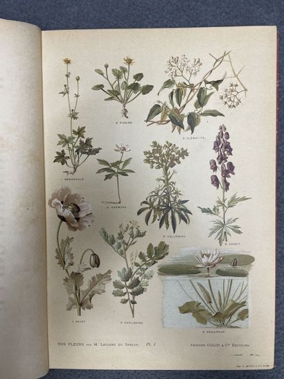 REDOUTE:Choix des plus belles fleurs, 
fac...
