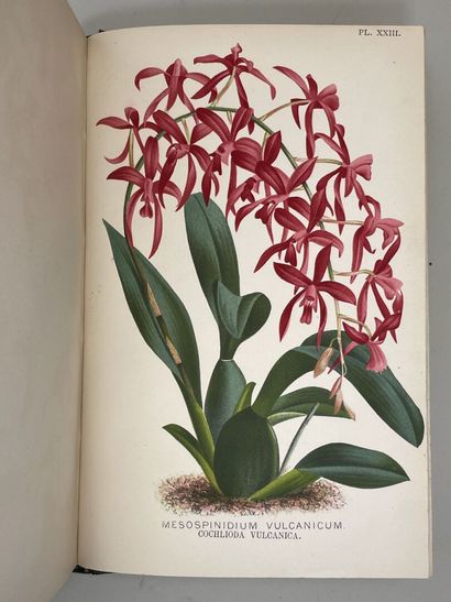 KERCHOVE DE DENTERGHEM, Oswald de. - Le Livre...
