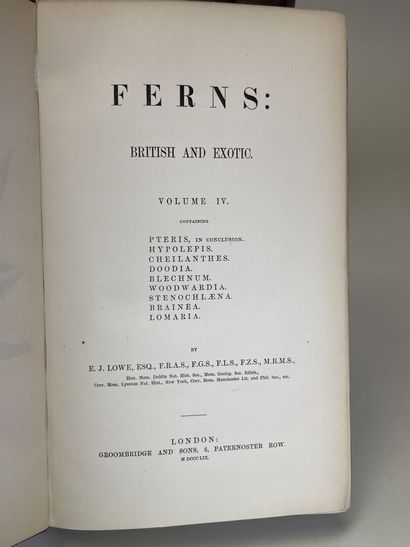 LOWE, Edward Joseph. - Ferns : British and...