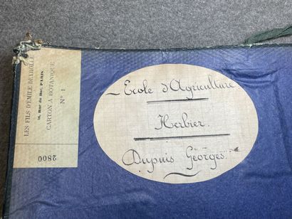 Important herbier de 1923. 
13 x 47 x 30...