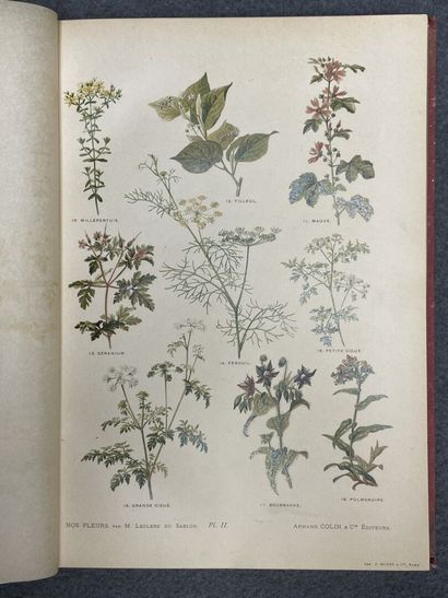 REDOUTE:Choix des plus belles fleurs, 
fac...