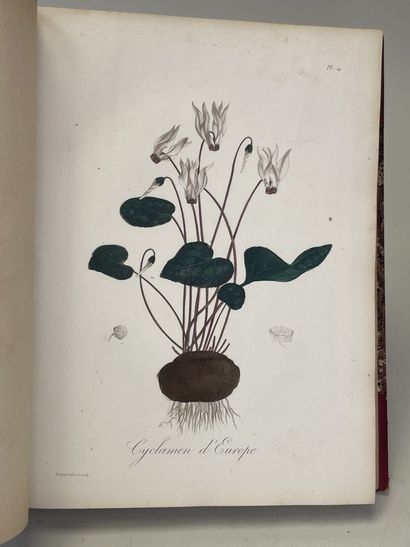 ROQUES, Joseph. - Phytographie médicale,...