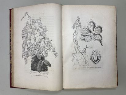 PUYDT, (Émile de). - Les Orchidées. Histoire...