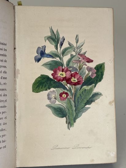 LA TOUR, Charlotte de (pseud. Mme. CORTE)....
