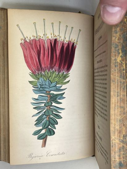Journal d'horticulture pratique de la Belgique...