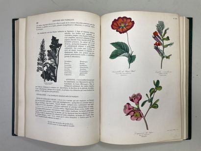 LE MAOUT, Emmanuel. - Botanique. Organographie...