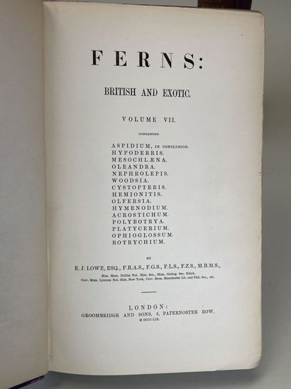 LOWE, Edward Joseph. - Ferns : British and...