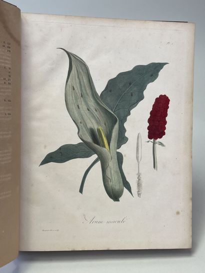 ROQUES, Joseph. - Phytographie médicale,...