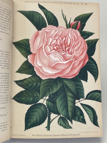 ROSES. - Journal des roses (Rosa inter flores)....