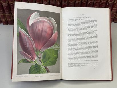 Revue de l'Horticulture belge et étrangère...