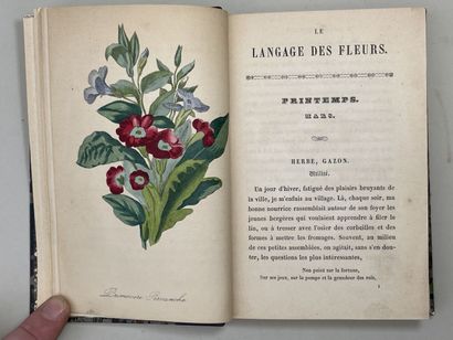 LA TOUR, Charlotte de (pseud. Mme. CORTE)....
