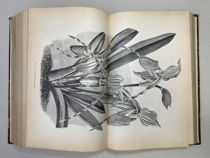 LINDEN, Lucien. - Les Orchidées exotiques...