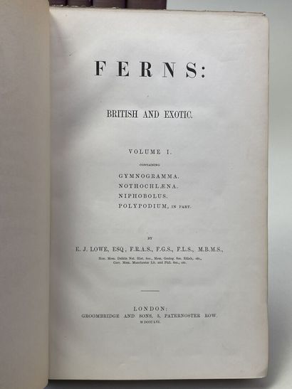 LOWE, Edward Joseph. - Ferns : British and...
