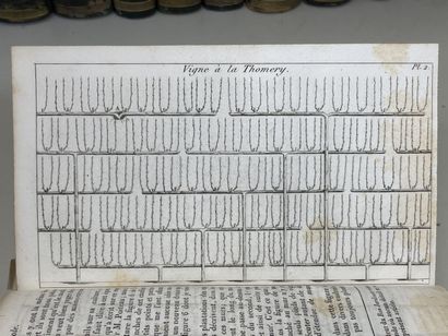 REVUE HORTICOLE. - Journal d'Horticulture...