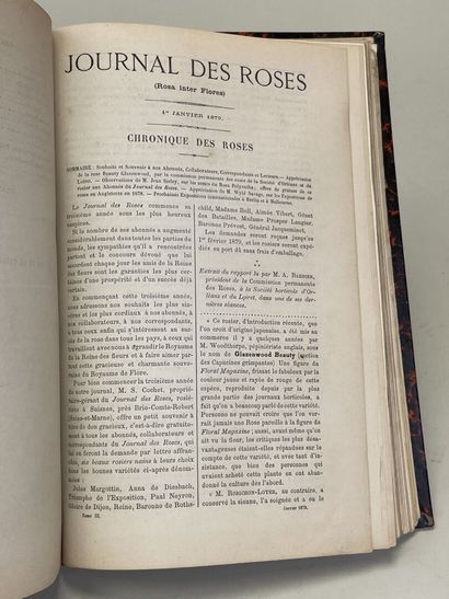 ROSES. - Journal des roses (Rosa inter flores)....