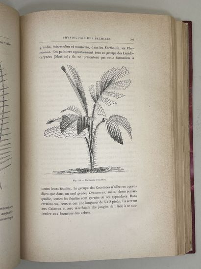 KERCHOVE DE DENTERGHEM, Oswald de. - Les...