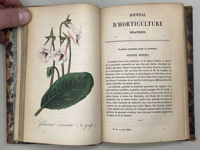 Journal d'horticulture pratique de la Belgique...