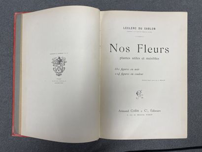 REDOUTE:Choix des plus belles fleurs, 
fac...
