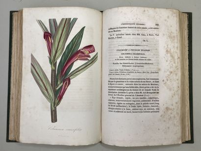LEMAIRE, Charles. - L'Horticulteur Universel,...